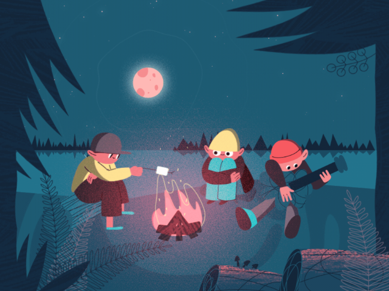 camp fire at night with three characters one playing guitar, one roasting marshmallow